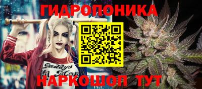 прущие грибы Обь