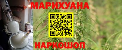 прущие грибы Обь
