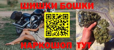 прущие грибы Обь