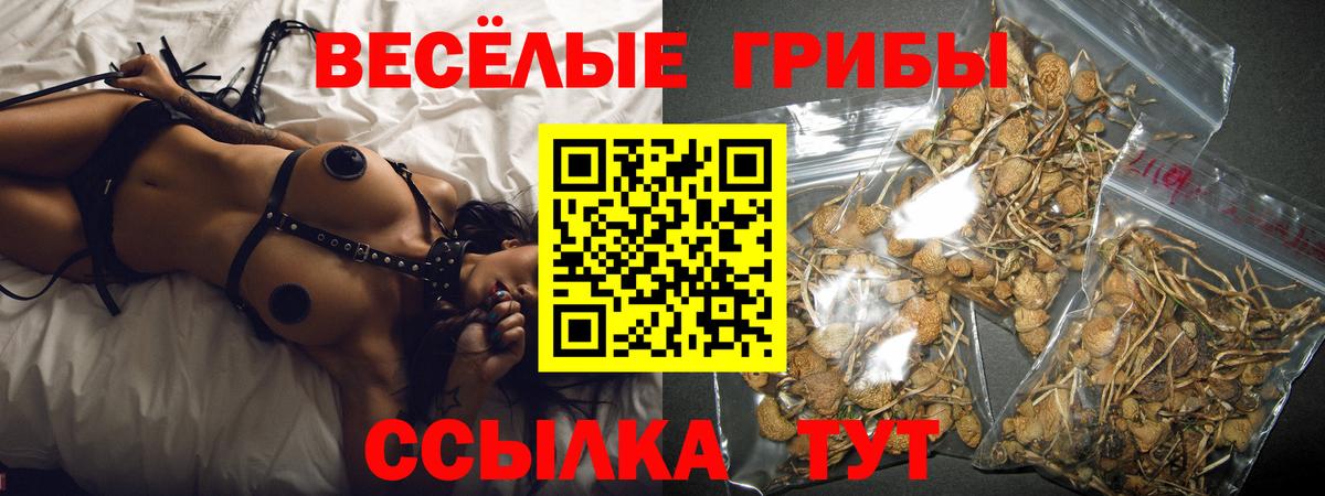Галлюциногенные грибы мицелий Тверь